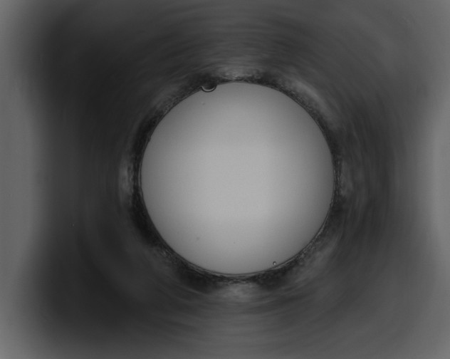 X0000100320210200806191010