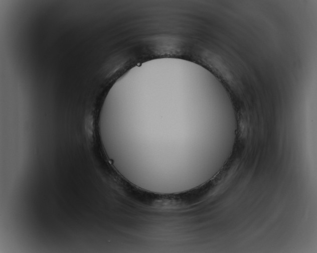 X0000100320211200806191010