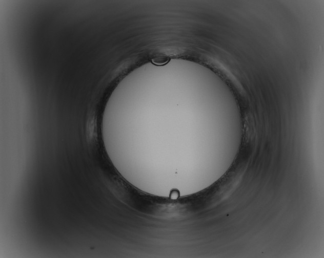 X0000100320212200806191010