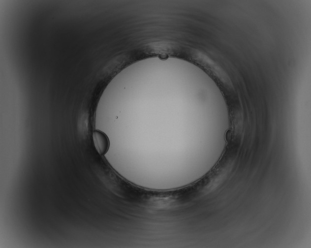 X0000100320213200806191010