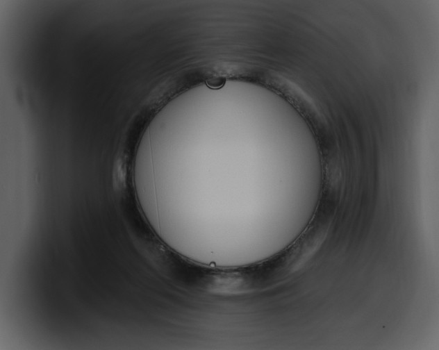 X0000100320214200806191010