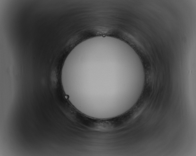 X0000100320215200806191010