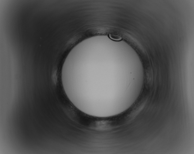 X0000100320216200806191010