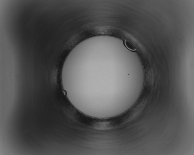 X0000100320217200806191010