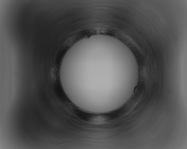 X0000100320218200806191010