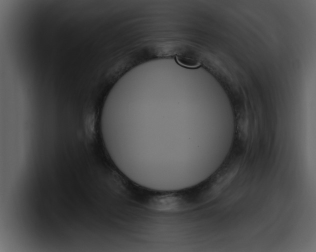 X0000100320219200806191010