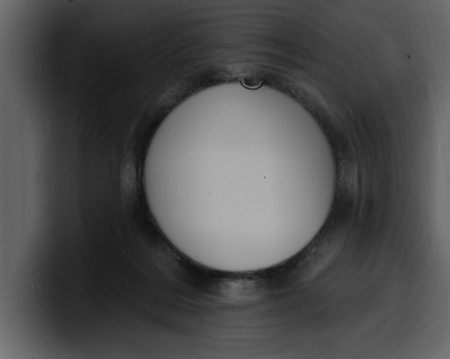 X0000100320220200806191010