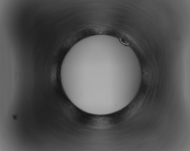 X0000100320221200806191010