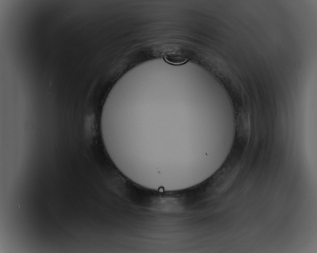 X0000100320224200806191010