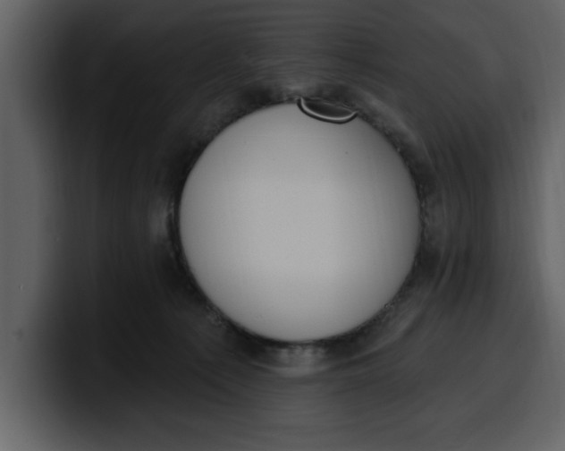 X0000100320225200806191010