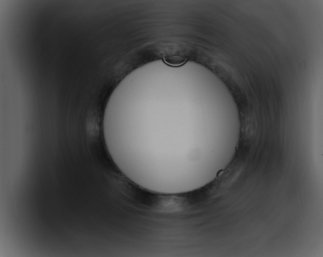 X0000100320226200806191010