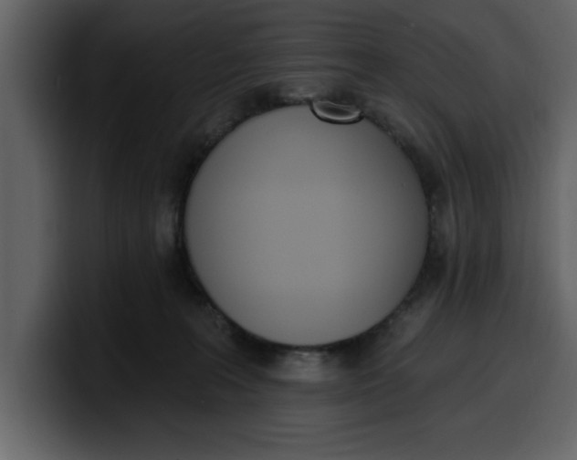 X0000100320227200806191010