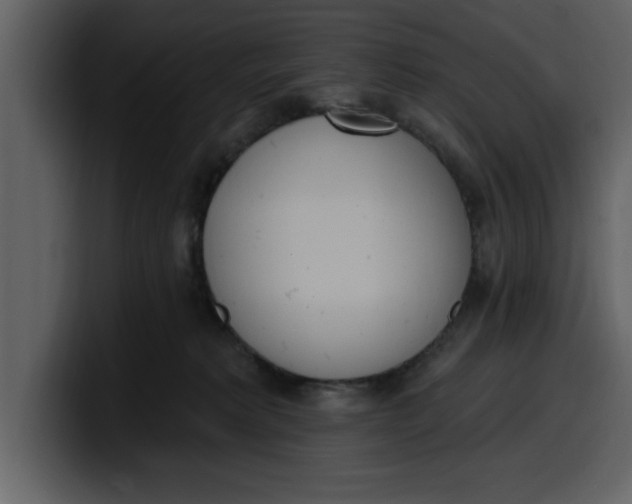 X0000100320229200806191010