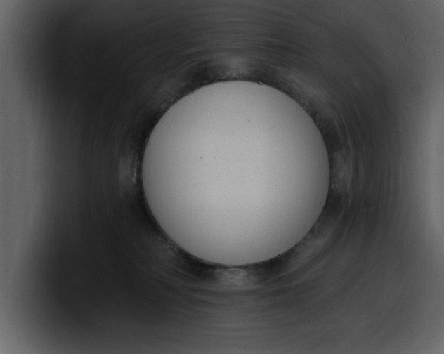 X0000100320230200806191010