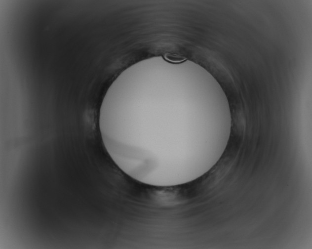 X0000100320232200806191010