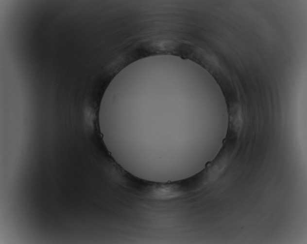 X0000100320235200806191010