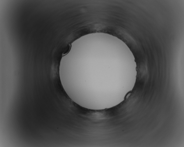 X0000100320236200806191010