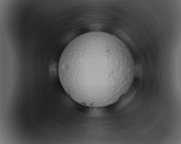 X0000100320238200806191010