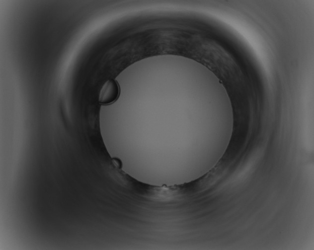 X0000100320239200806191010