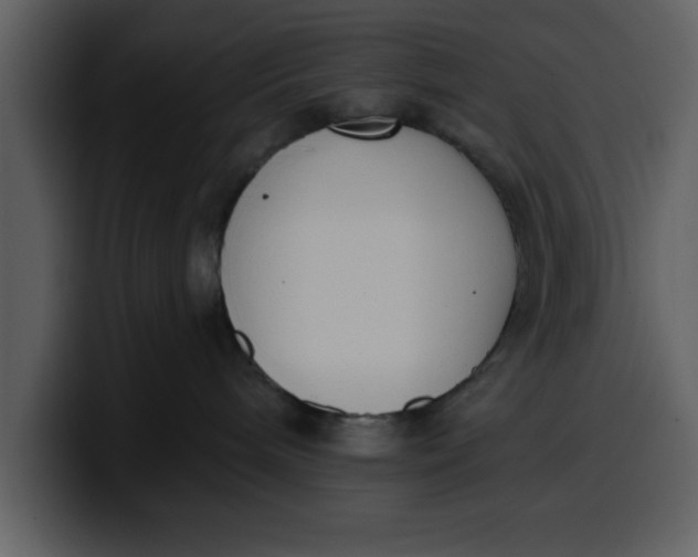 X0000100320240200806191010