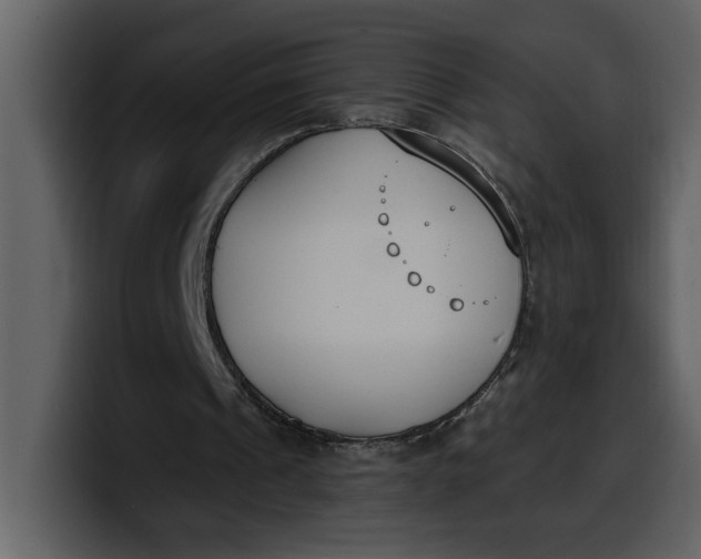 X0000100320241200806191009