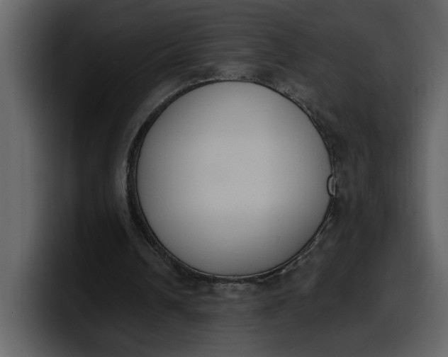 X0000100320242200806191009