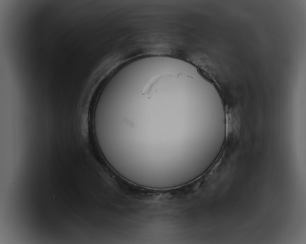 X0000100320243200806191009