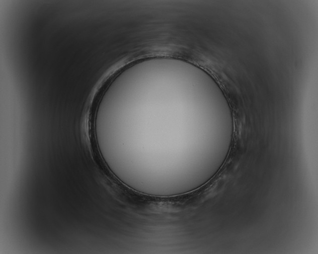 X0000100320244200806191009