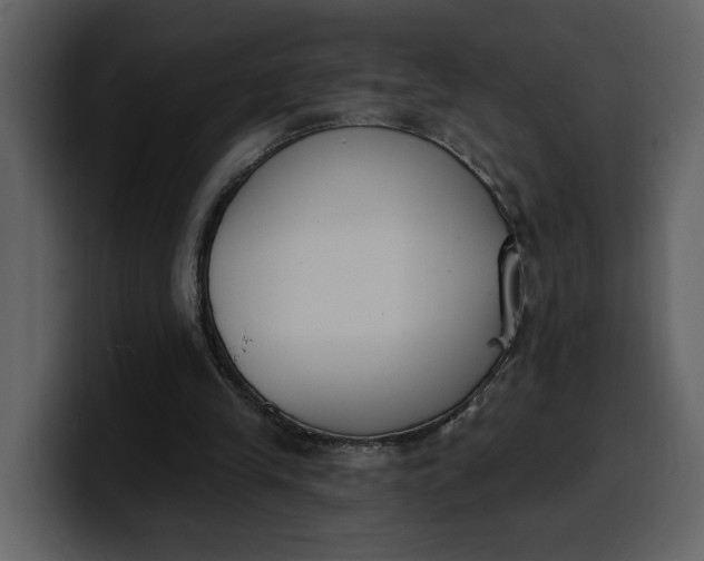 X0000100320245200806191009