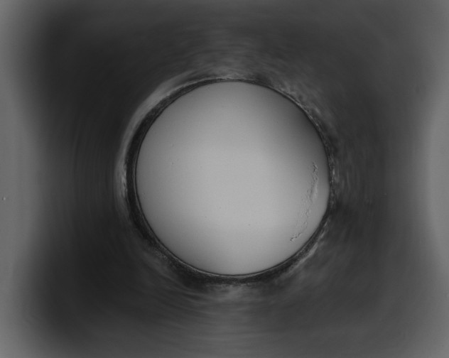 X0000100320246200806191009