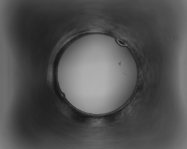 X0000100320247200806191009