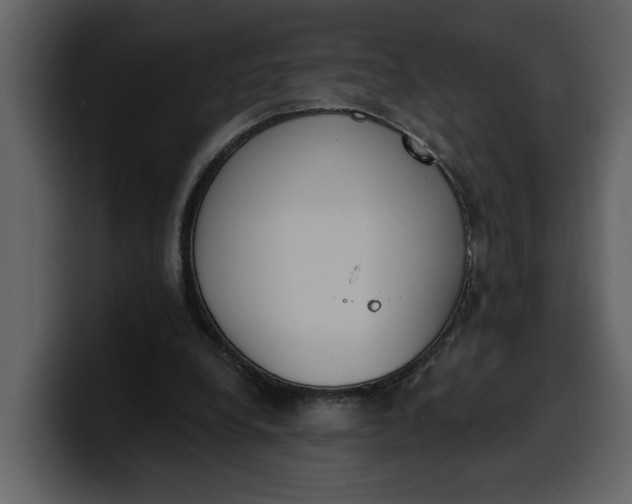 X0000100320248200806191009