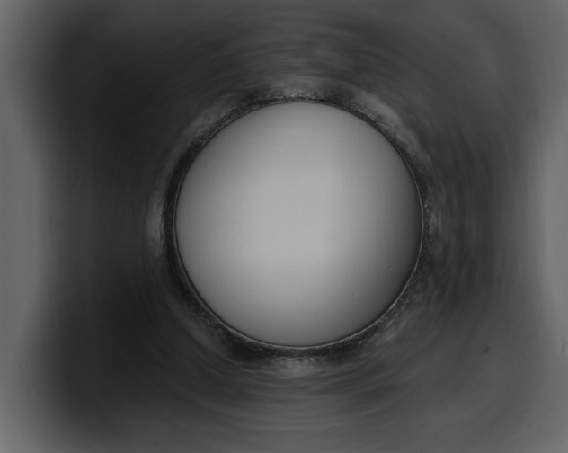 X0000100320250200806191009