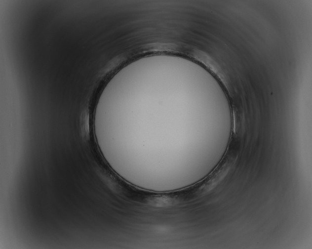 X0000100320253200806191009