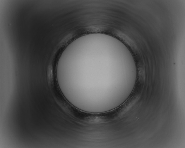 X0000100320254200806191009