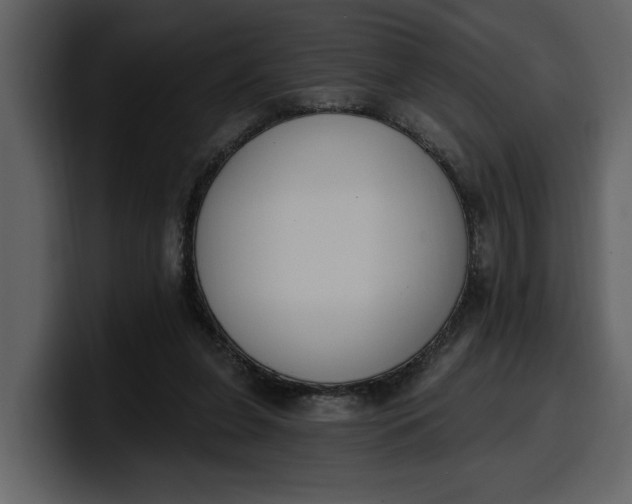 X0000100320255200806191009