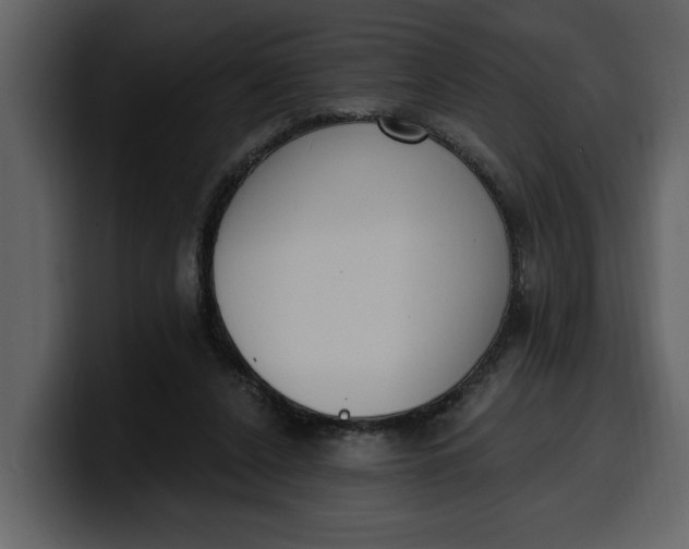 X0000100320256200806191009