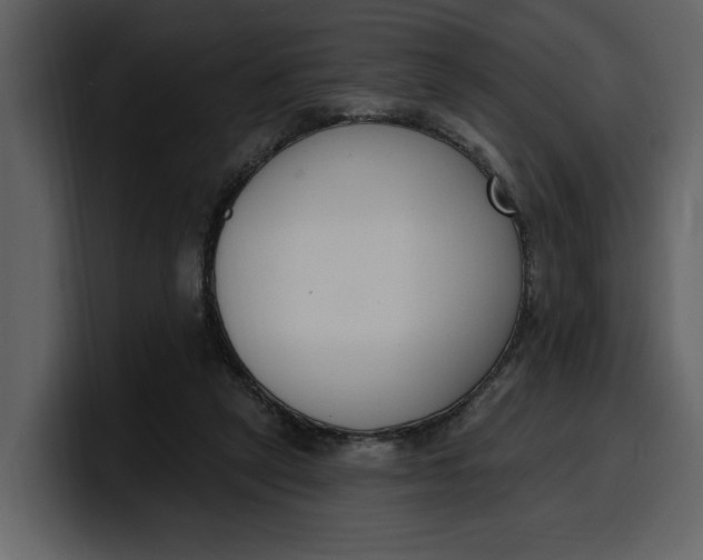 X0000100320257200806191009