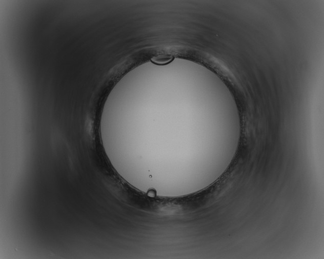 X0000100320258200806191009