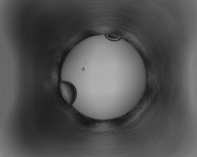 X0000100320259200806191009