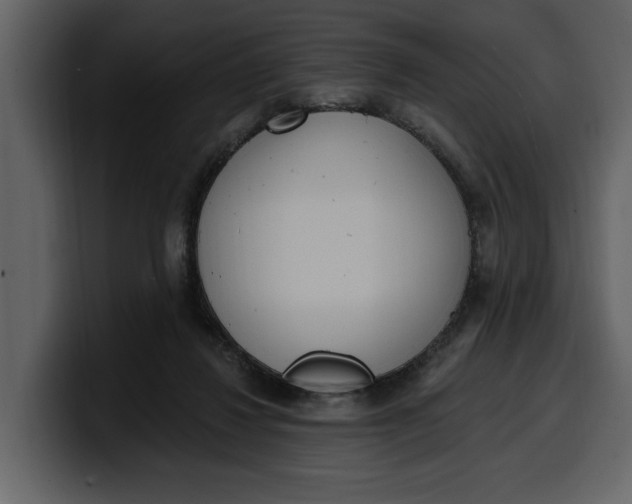 X0000100320260200806191009