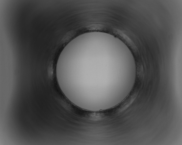 X0000100320261200806191009