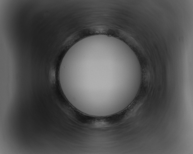 X0000100320262200806191009