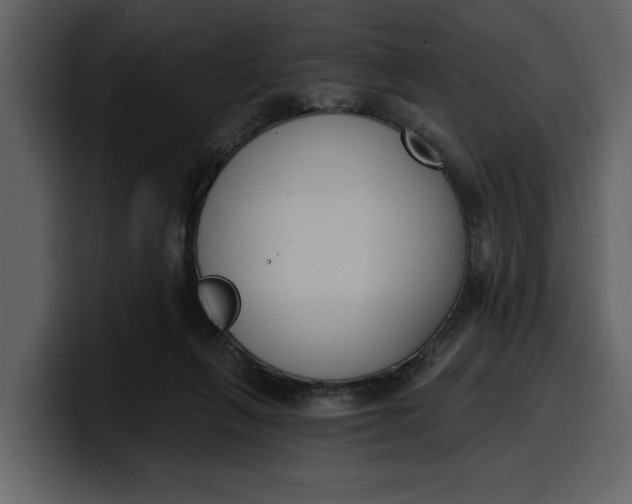 X0000100320263200806191009