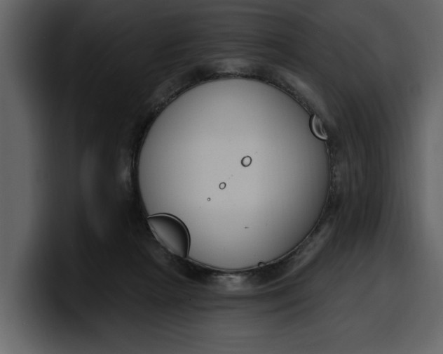 X0000100320265200806191009