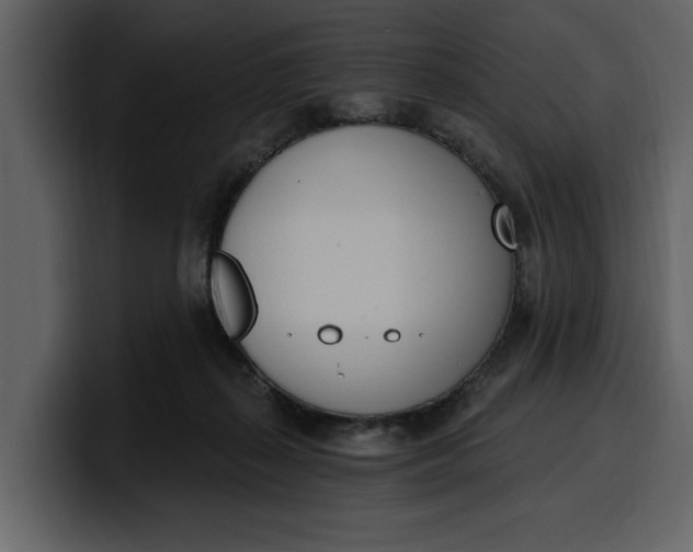 X0000100320267200806191009