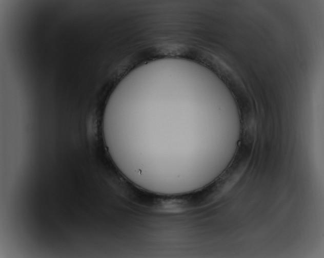 X0000100320268200806191009