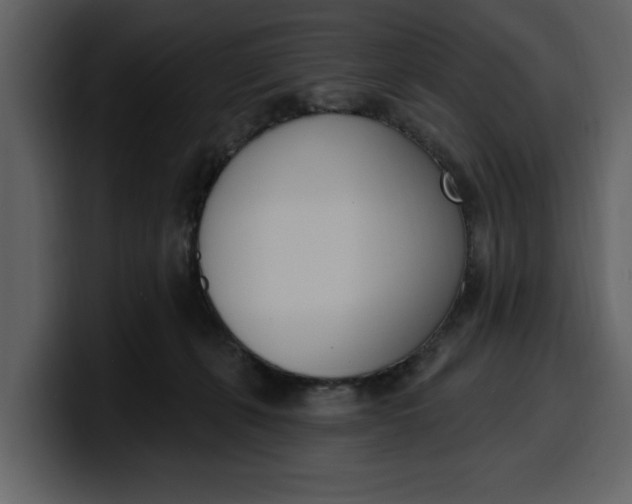 X0000100320271200806191009