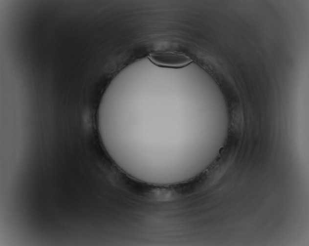 X0000100320272200806191009