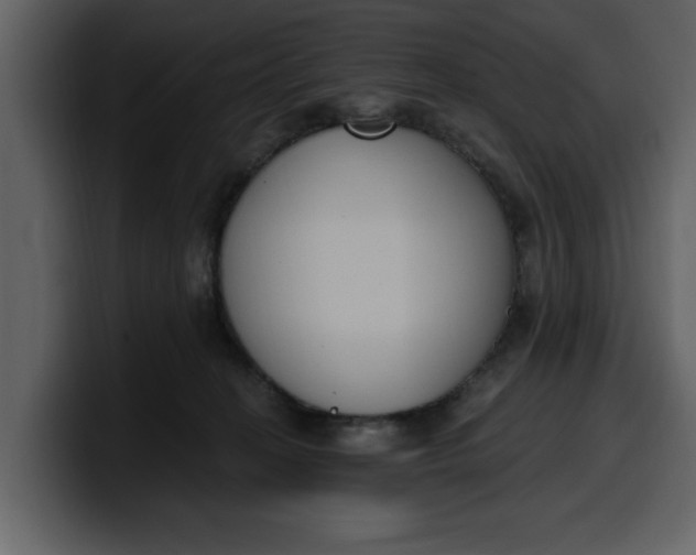 X0000100320274200806191009